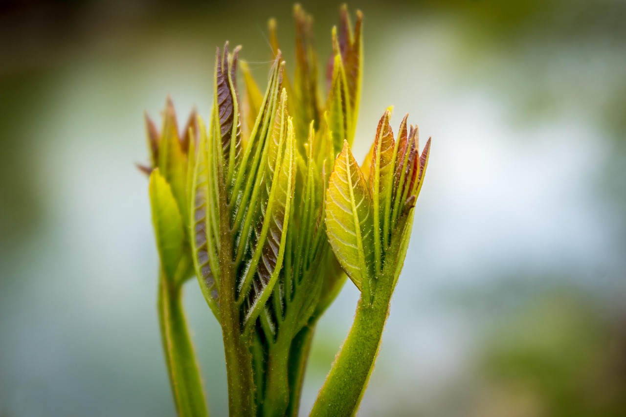 g465d016a9b8d7989601427e09e03d6a8e39fb19a8ef886a92770ed9f8342c6cfb1242effa57094d6a548a971ad8e5bb97bdde835e1be96638224ef49534cec39 1280