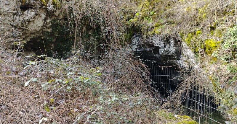 Grotte de Foissac : le trésor préhistorique caché du Lot