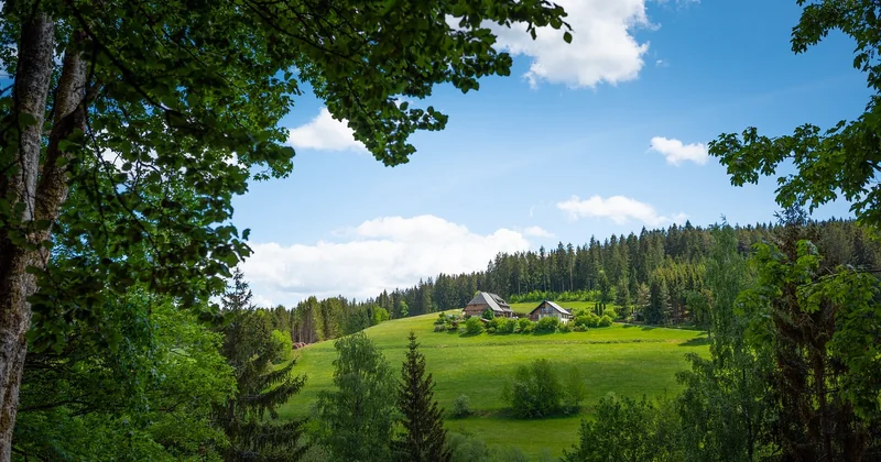 Où se trouve la Forêt-Noire en Allemagne ?