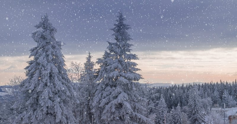 Forêt noire Allemagne : le guide pour un séjour inoubliable