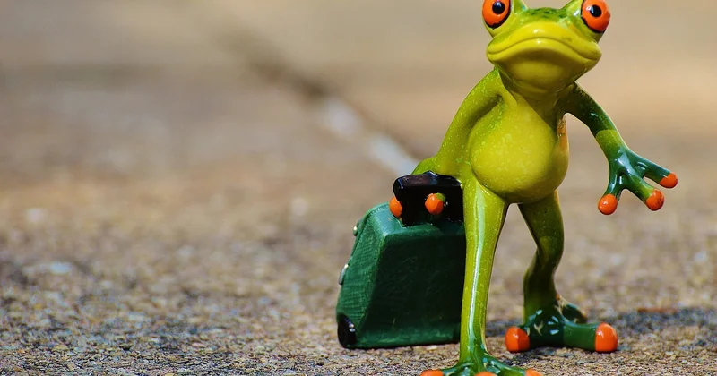 Quelles sont les dimensions d'une valise moyenne ?
