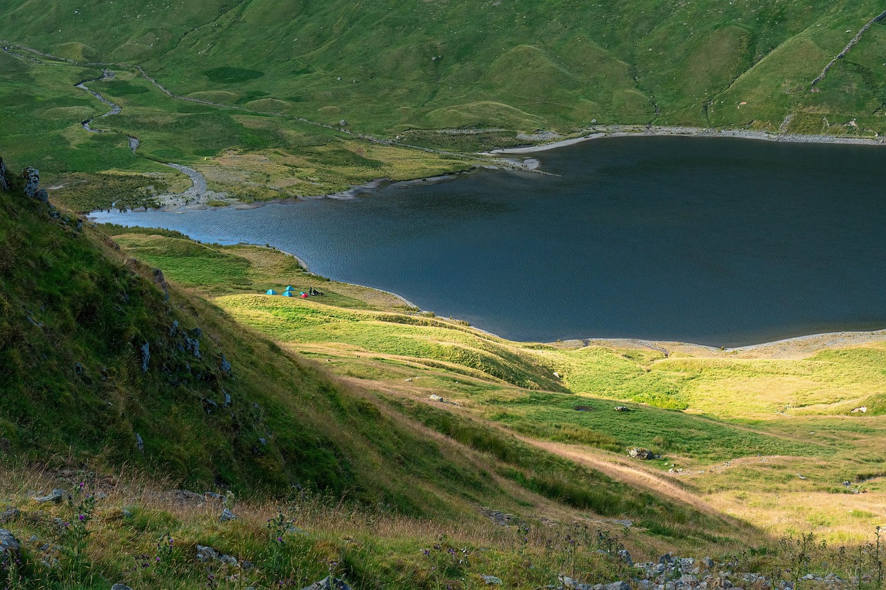 découvrez le wild camping en france en 2025 : conseils, meilleurs spots, réglementation et astuces pour une aventure nature inoubliable.